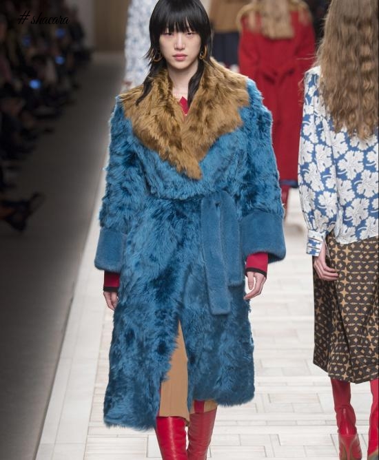 Fur Fashion Highlights From Milan Fashion Week 2017