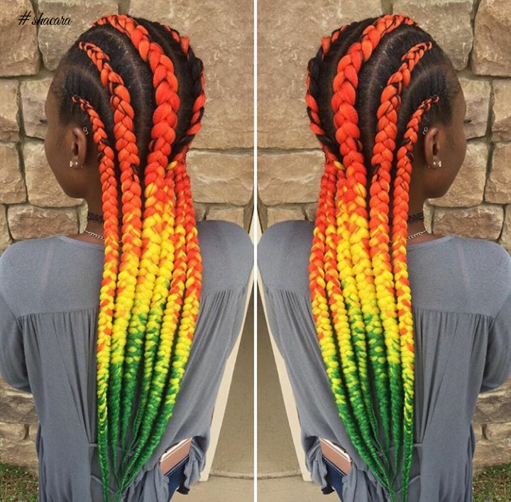 Multicoloured Braid Style: Would You Love To Rock It?