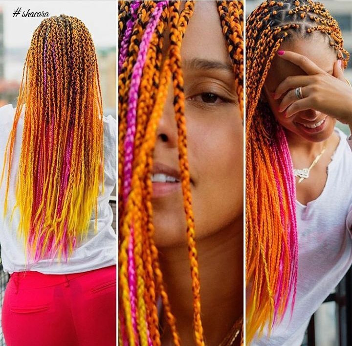 Multicoloured Braid Style: Would You Love To Rock It?