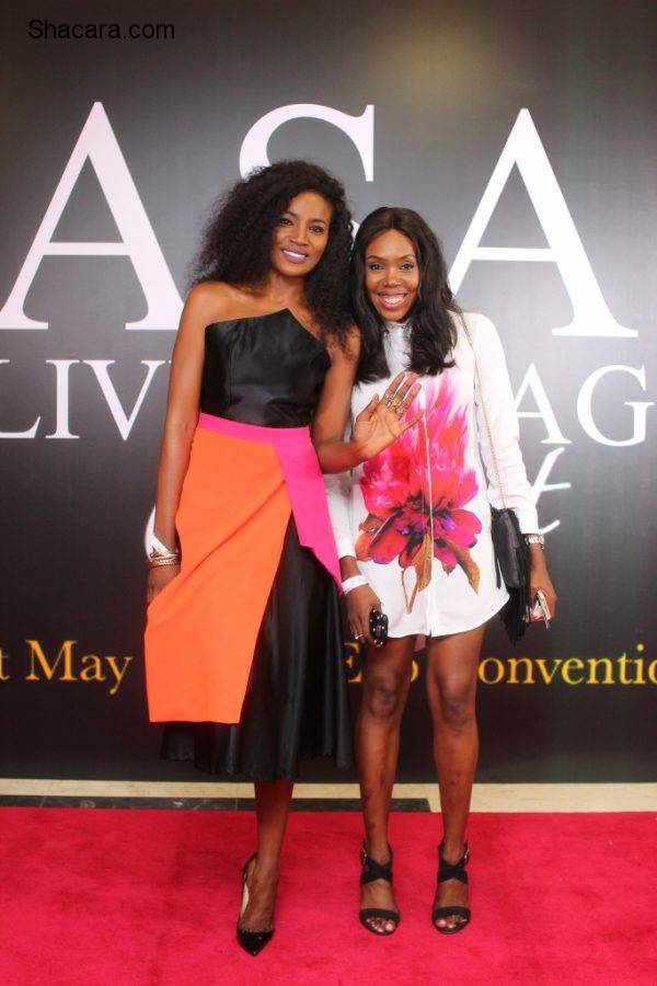 Red Carpet Photos: Bez Idakula, Omawunmi, Waje & More At Asa Live In Lagos Concert