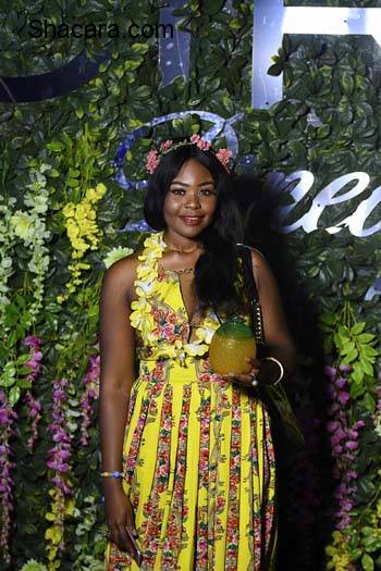 Banky W, Dorcas Shola Fapson, Olisa Adibua, Ebuka, More Stars Attend The Ciroc Pineapple Launch