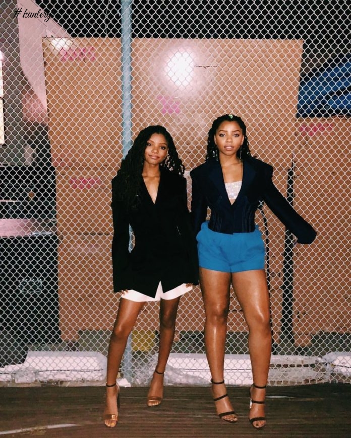 15 Amazing Fashion Moments From US RnB & Faux Locs Girls ChloexHalle; Print Looks Included